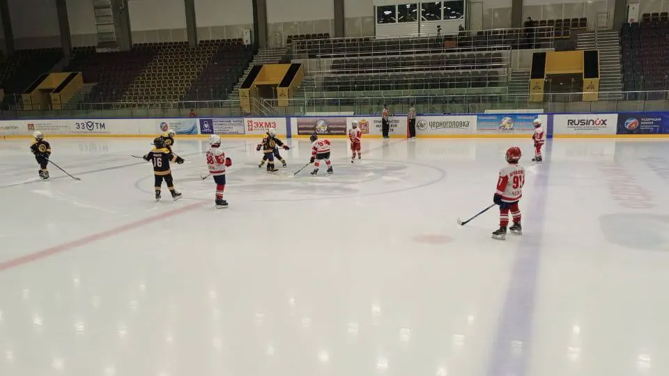 Фото: управление по физической культуре и спорту администрации г. о. Электросталь