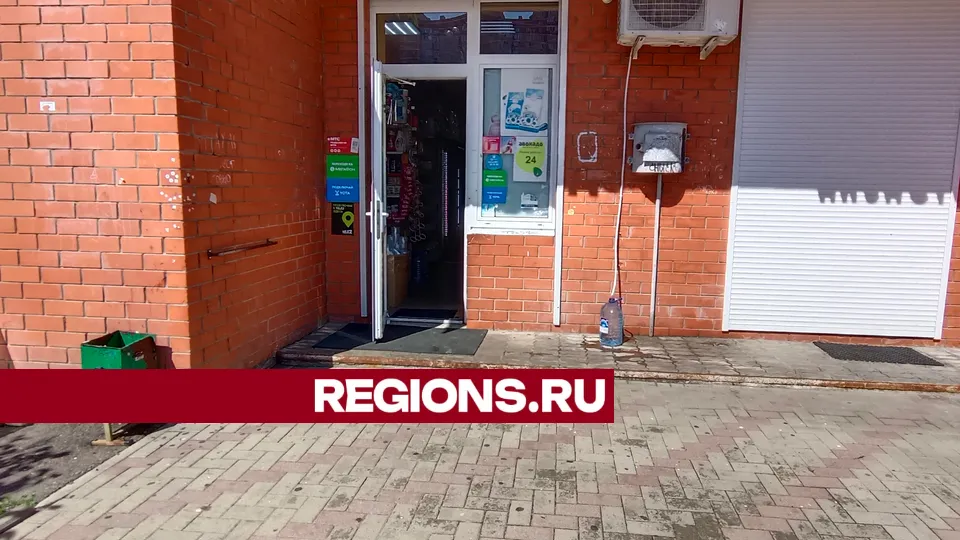 Фото: REGIONS/Юлия Павлова