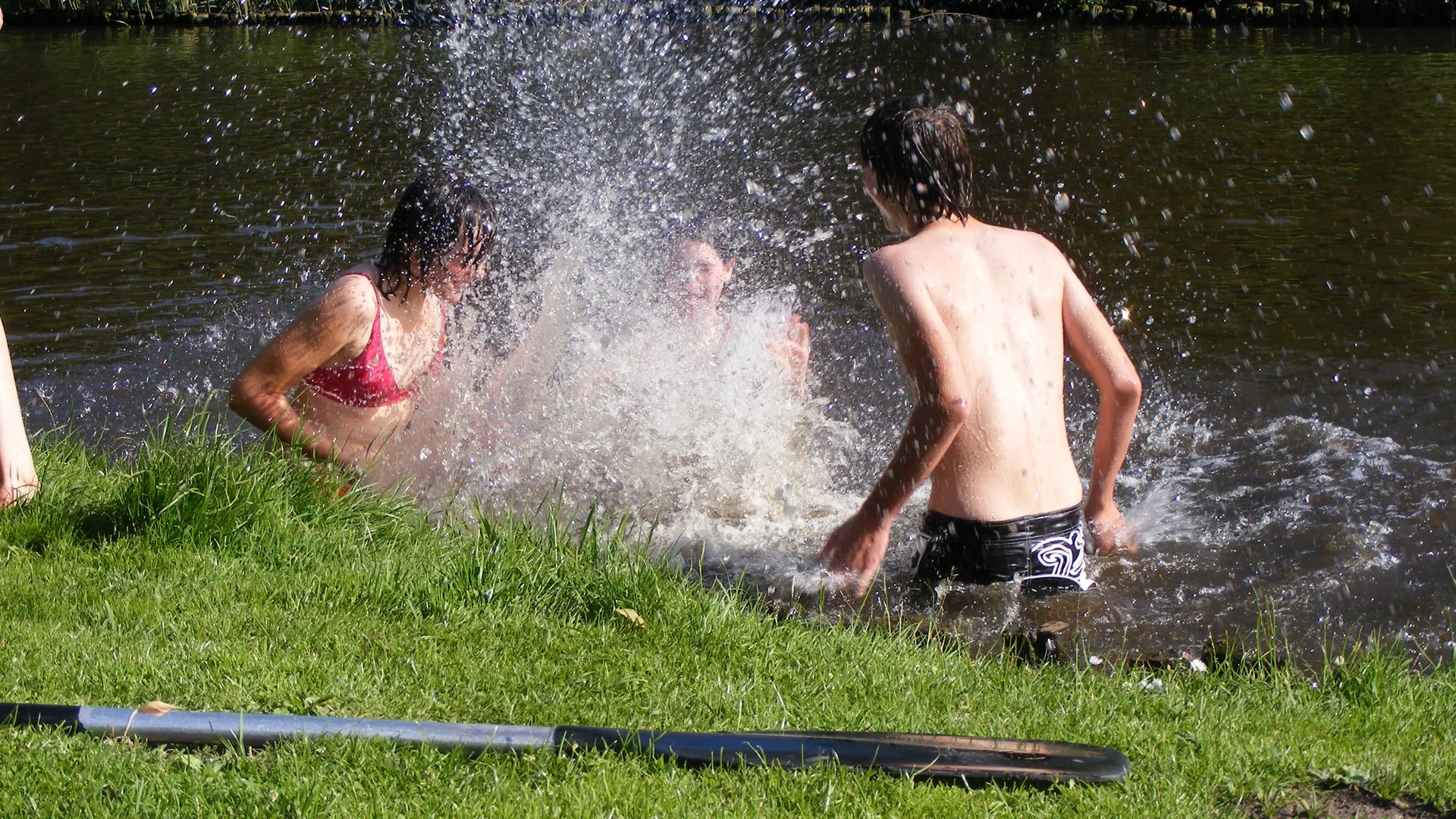 Фото: pxhere.com