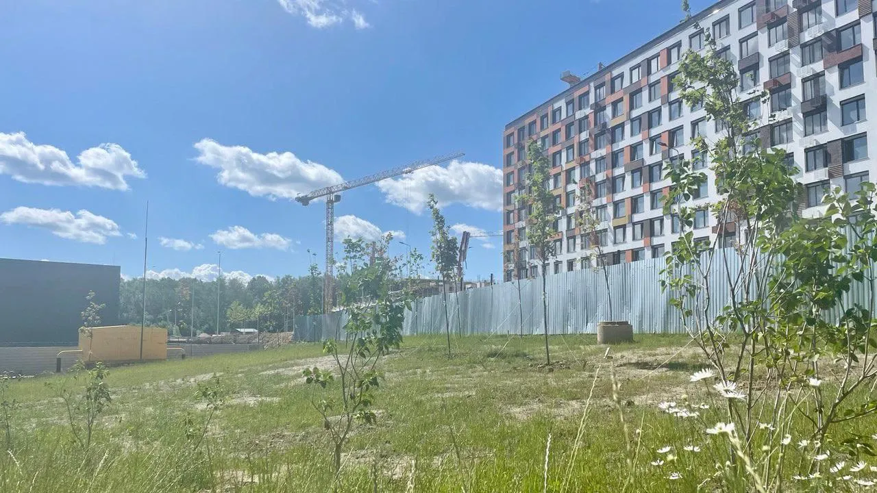 Аллею из кленов и сирени высадили в жилом комплексе «Город „В лесу“ в Красногорске