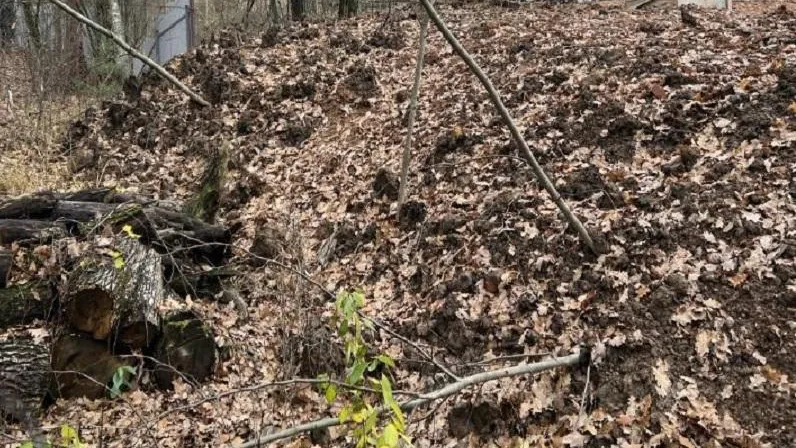 Фото Минэкологии МО.