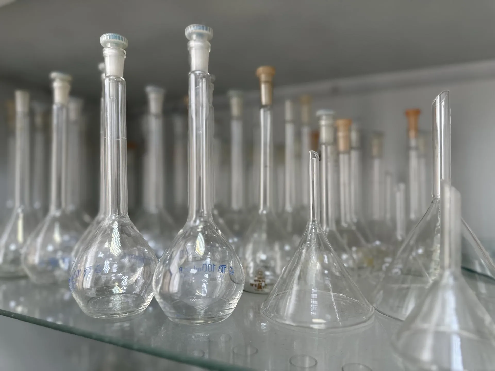 Фото: пресс-служба администрации Можайского м. о.