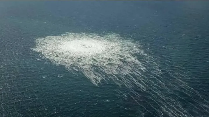 Danish Defence