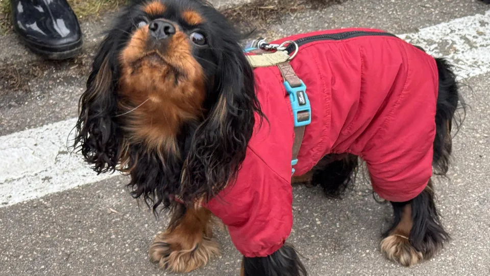 Фото: REGIONS/Мария Шматкова