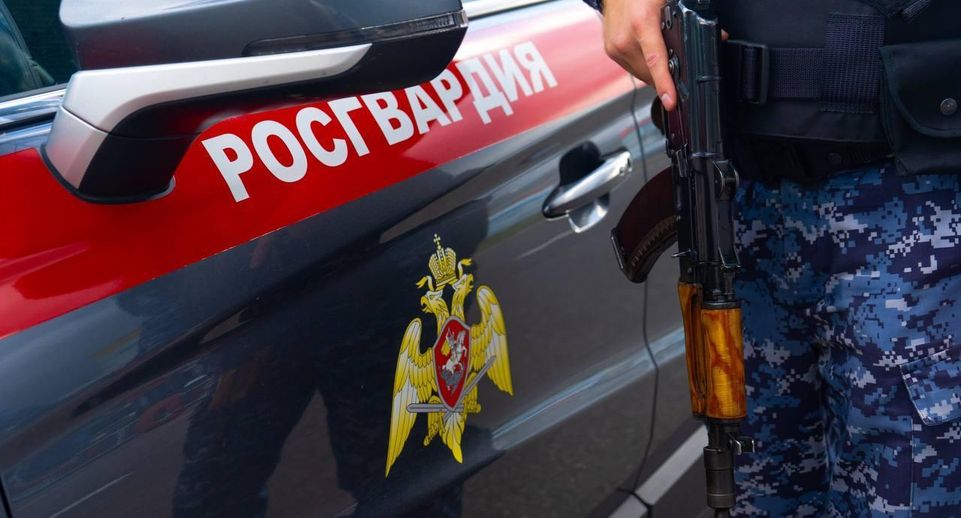 Росгвардейцы задержали бросавшегося под машины дебошира в поселке Тучково