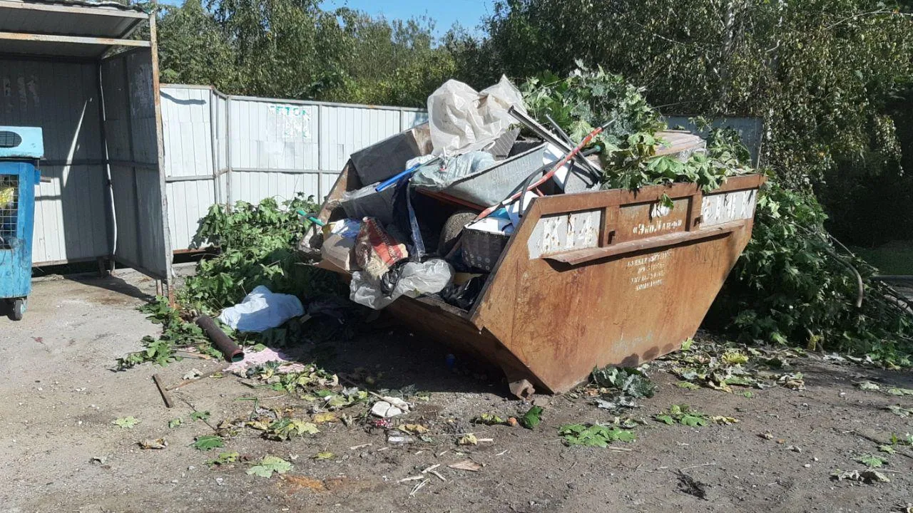 Фото: Территориальный отдел Снегири / Telegram