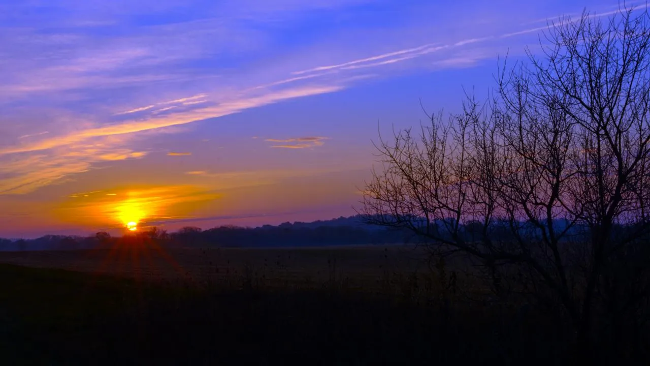 istockphoto.com/Terry Landers