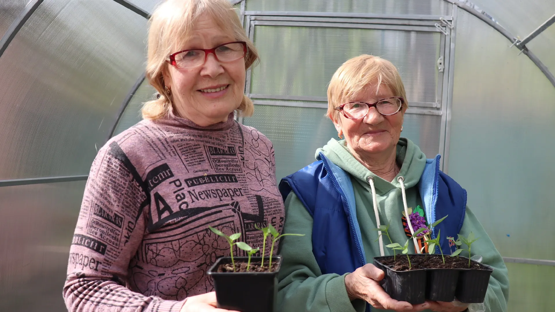 Фото: t.me/Dolgoletie_leninskiy