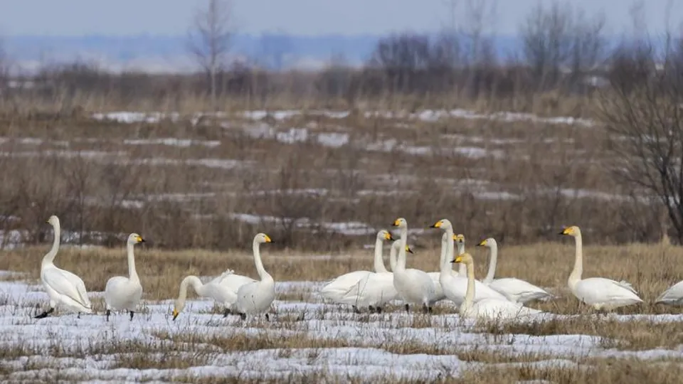 Фото: МедиаБанк Подмосковья/Евгений Рой