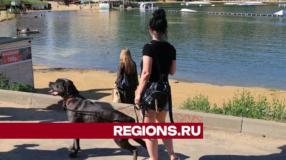 Фото: Алексей Грызлов