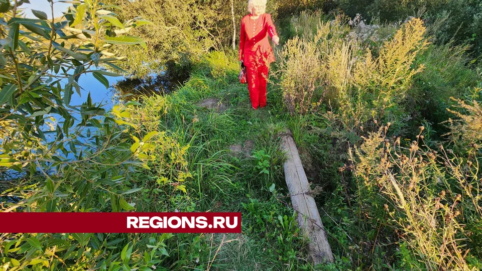 Фото: Дмитрий Алексеенко