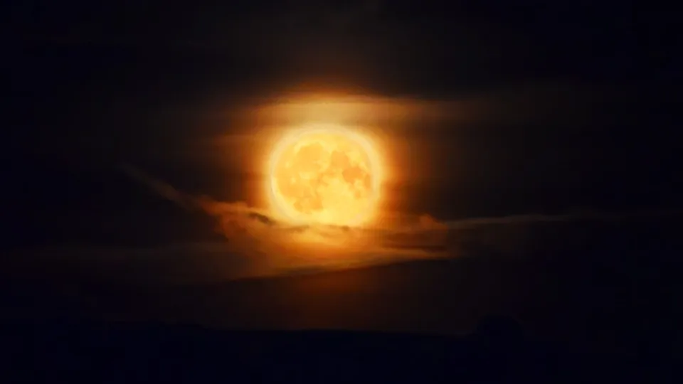 Фото: МедиаБанк Подмосковья/Галина Добрынина