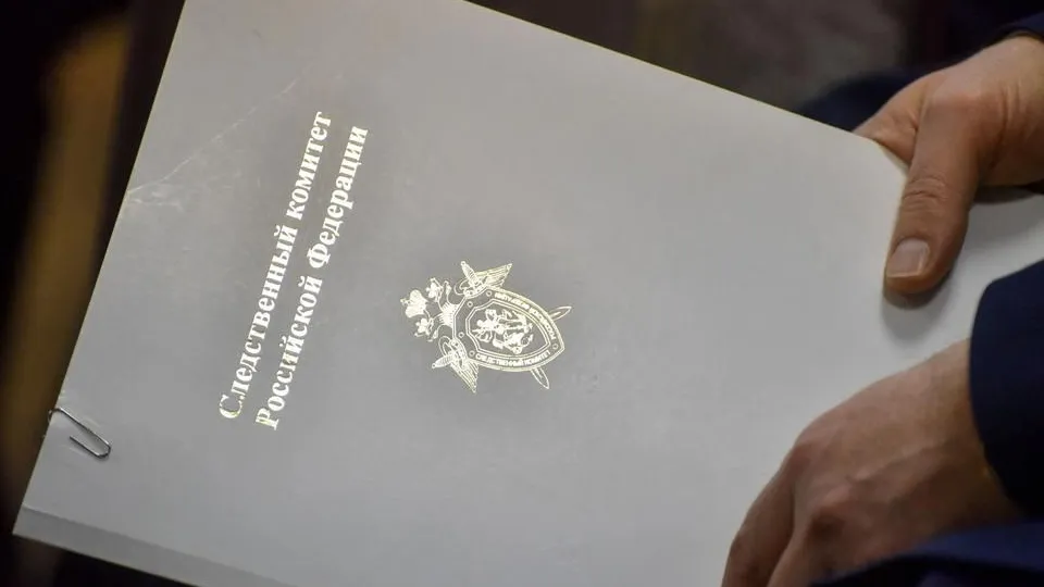 «Маска и капюшон в ночи». Загадочная фигура у полицейской машины перед взрывом: ждал ли преступник именно сотрудников?