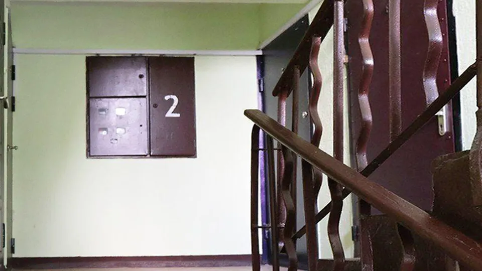 Фото: пресс-служба администрации г.о. Ступино