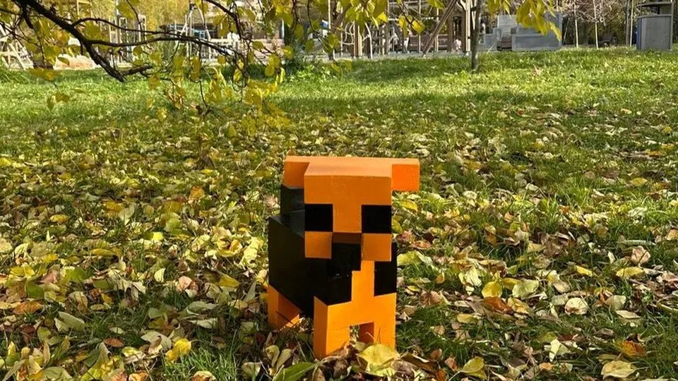 Фото: Администрация г.о. Реутов