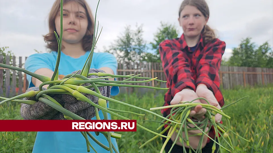 Фото: Андрей Семибратов