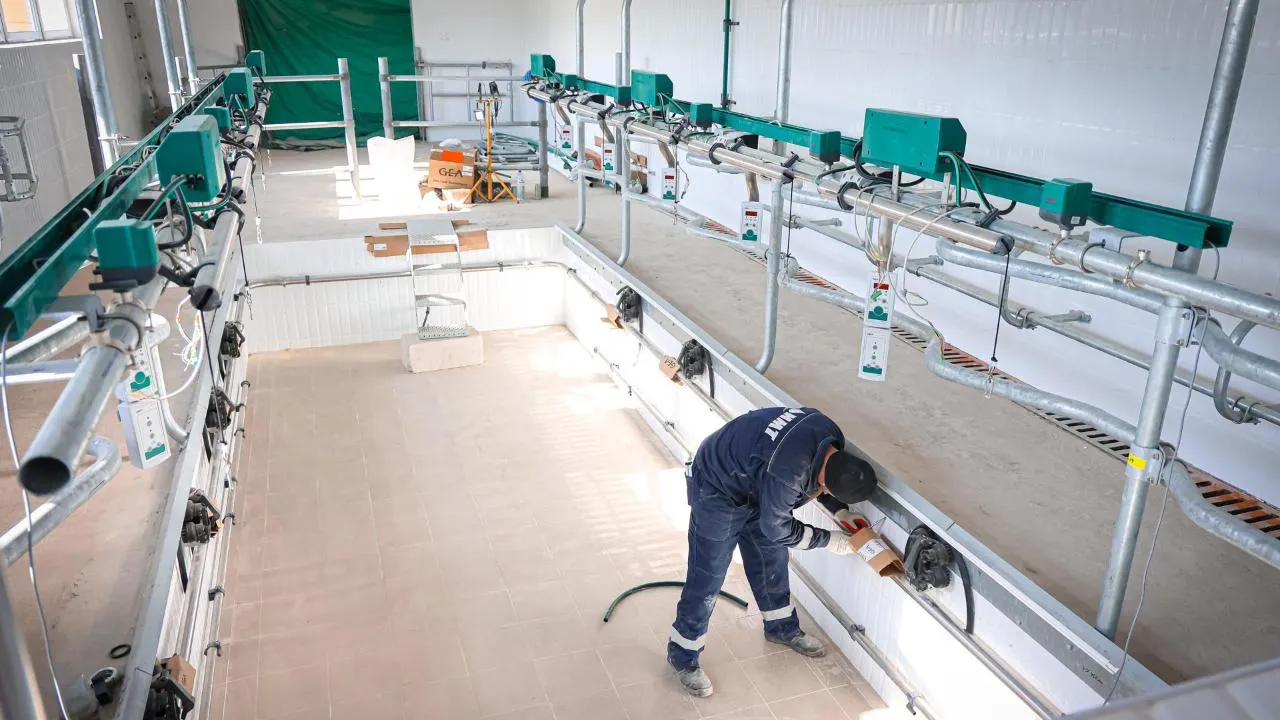 МедиаБанк Подмосковья/Данила Кирьянов