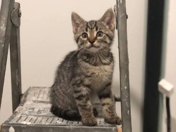 Фото: ГК Гранель