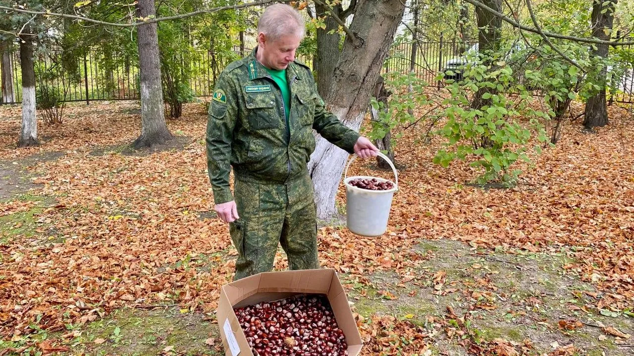 Комитет лесного хозяйства Московской области