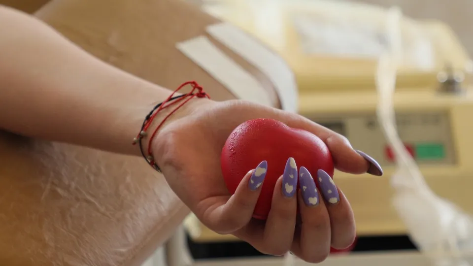 Фото: Министерство социального развития Московской области