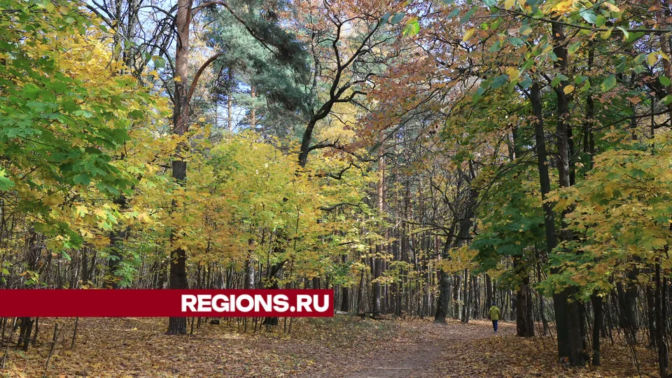 Фото: Алексей Грызлов