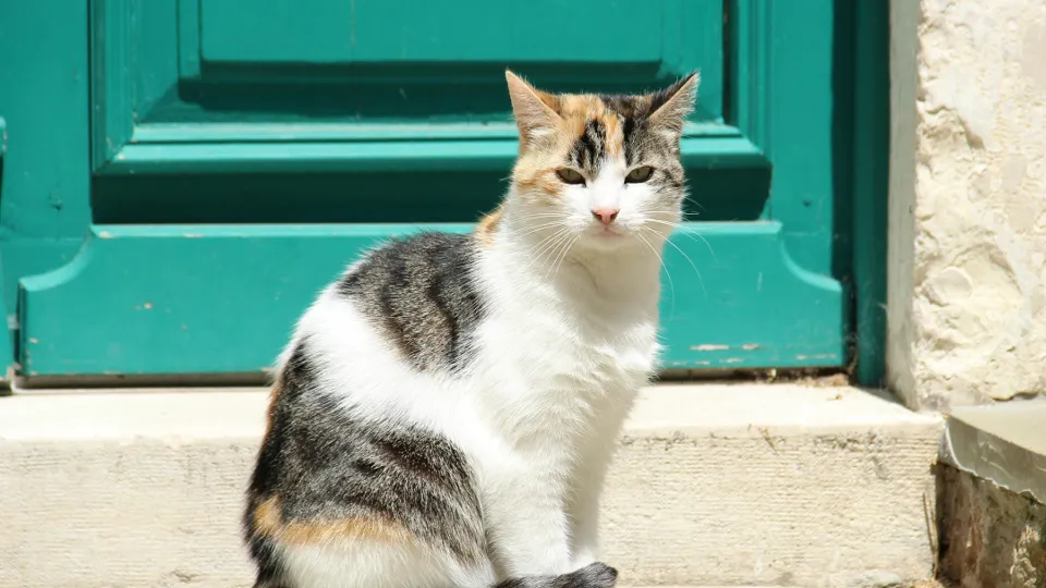 Фото: unsplash.com