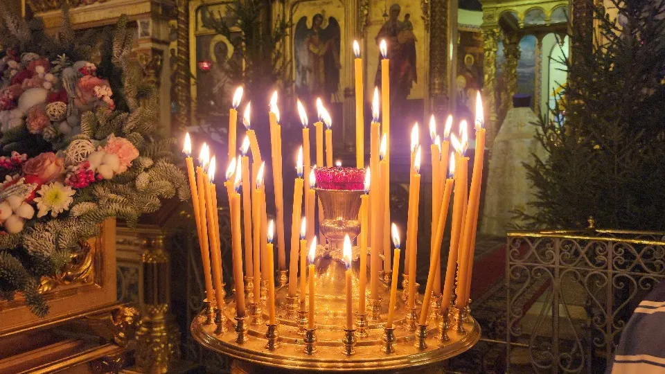 Фото: МедиаБанк Подмосковья/Елизавета Приймак