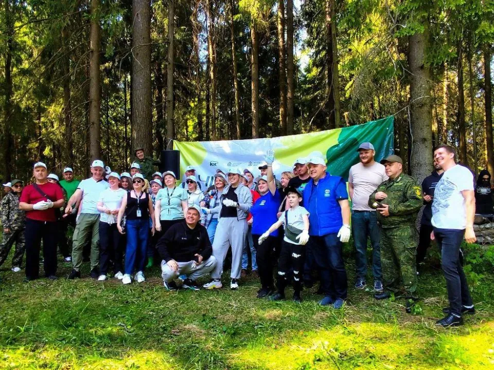 Фото: Комитет лесного хозяйства Московской области