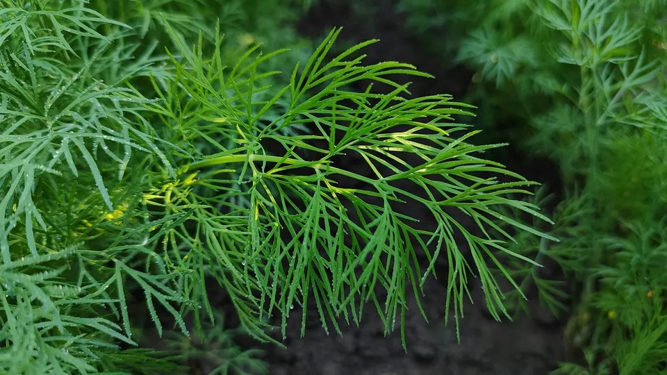 Фото: unsplash.com