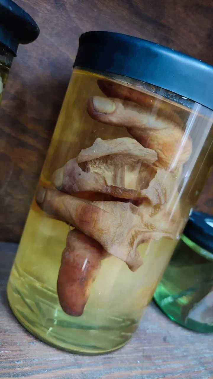 Фото: Министерство здравоохранения Московской области