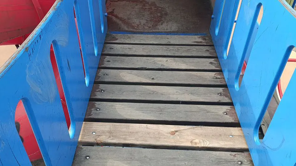 Фото: пресс-служба администрации г.о. Пушкинский