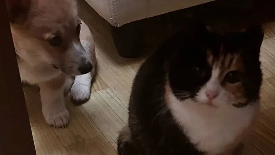 Министерство жилищной политики Московской области