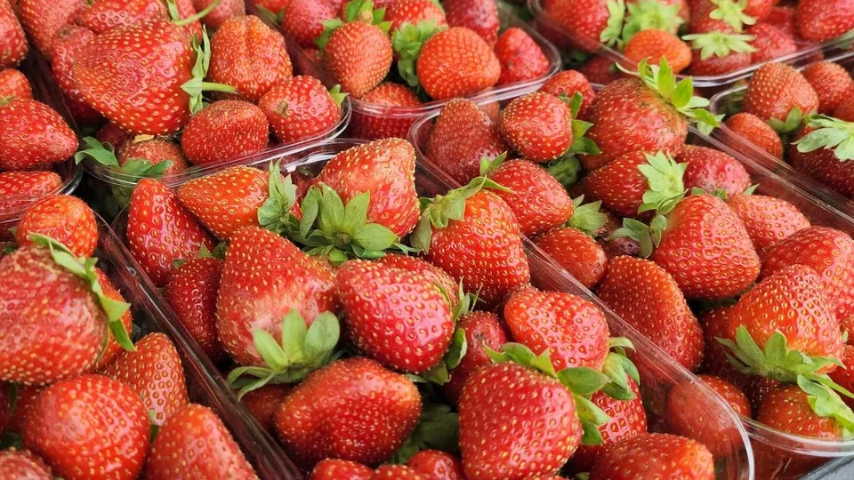 Фото: пресс-служба администрации м.о. Луховицы