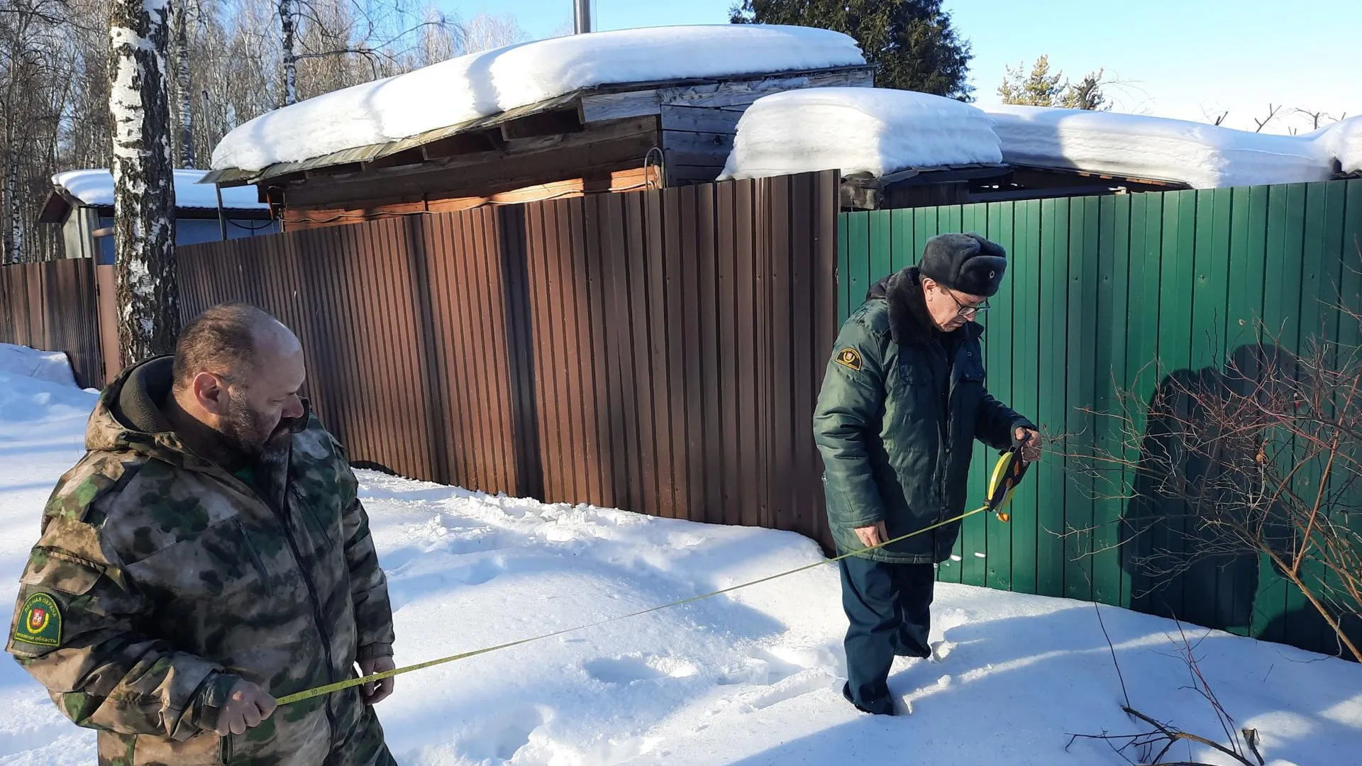 Фото: ГКУ МО «Мособллес»