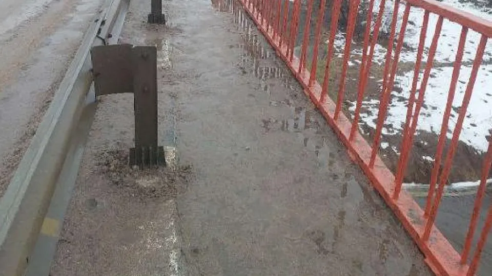 Фото: администрация м.о. Лотошино