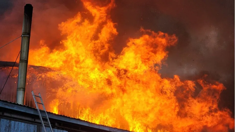 Фото: МедиаБанк Подмосковья/Мария Андрюхина