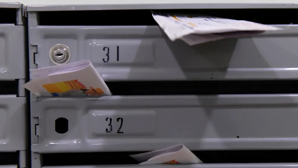 Фото: РИА Новости/Кирилл Каллиников