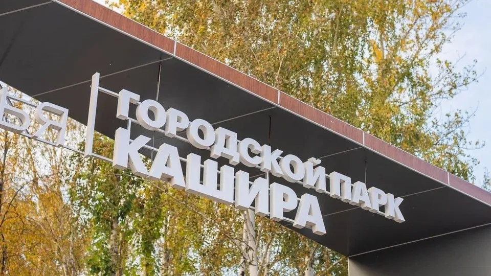 Фото: пресс-служба администрации г.о. Кашира