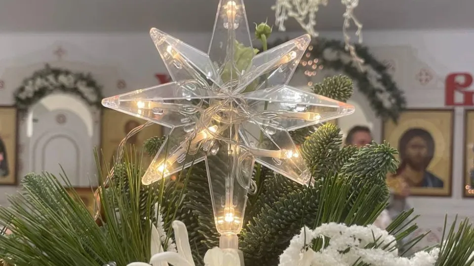 Фото: REGIONS/Юлия Арбузова