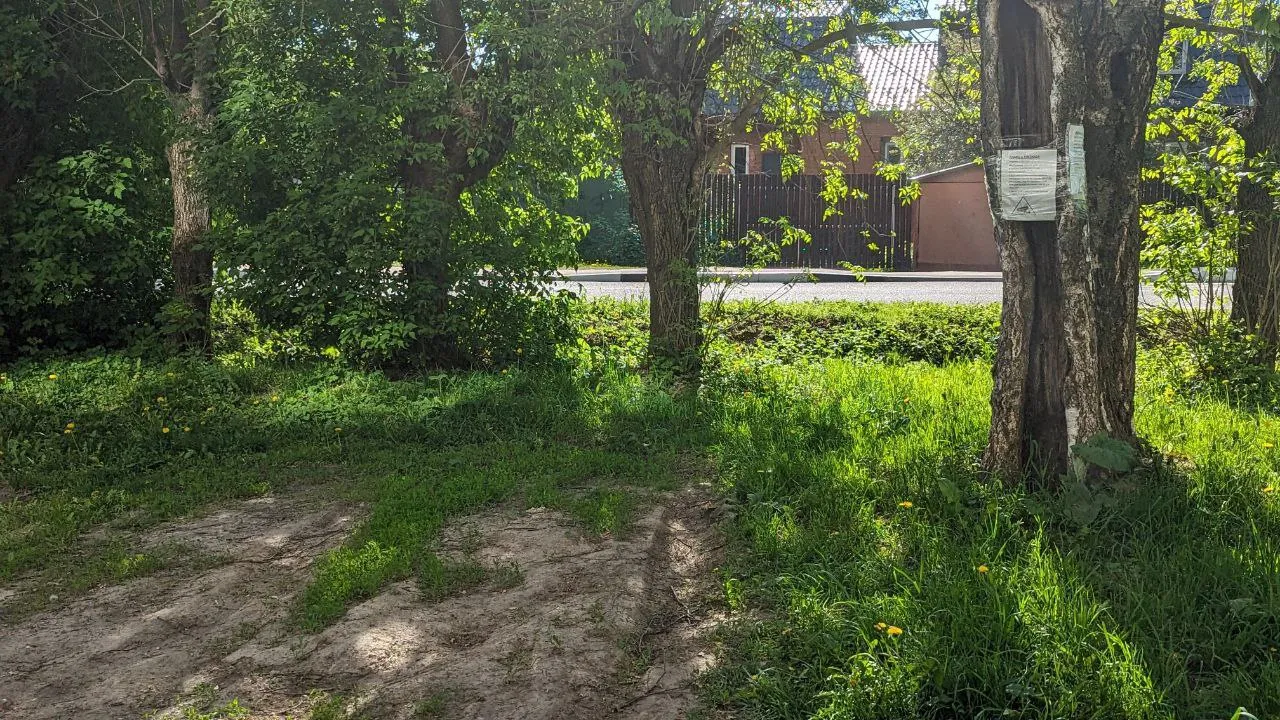 Фото: t.me/prodomodedovo