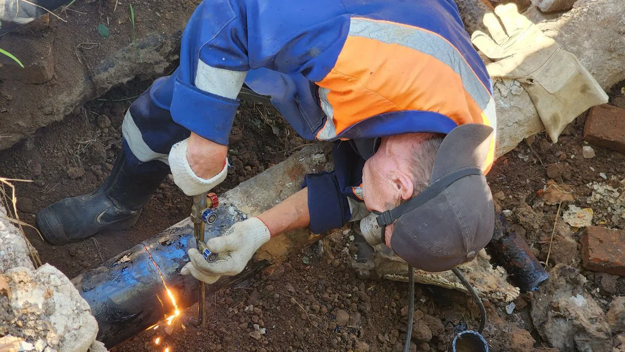 Фото: МедиаБанк Подмосковья/Яна Шаливская