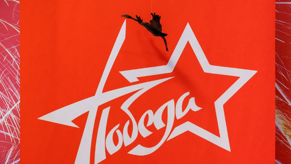 Фото: медиасток.рф