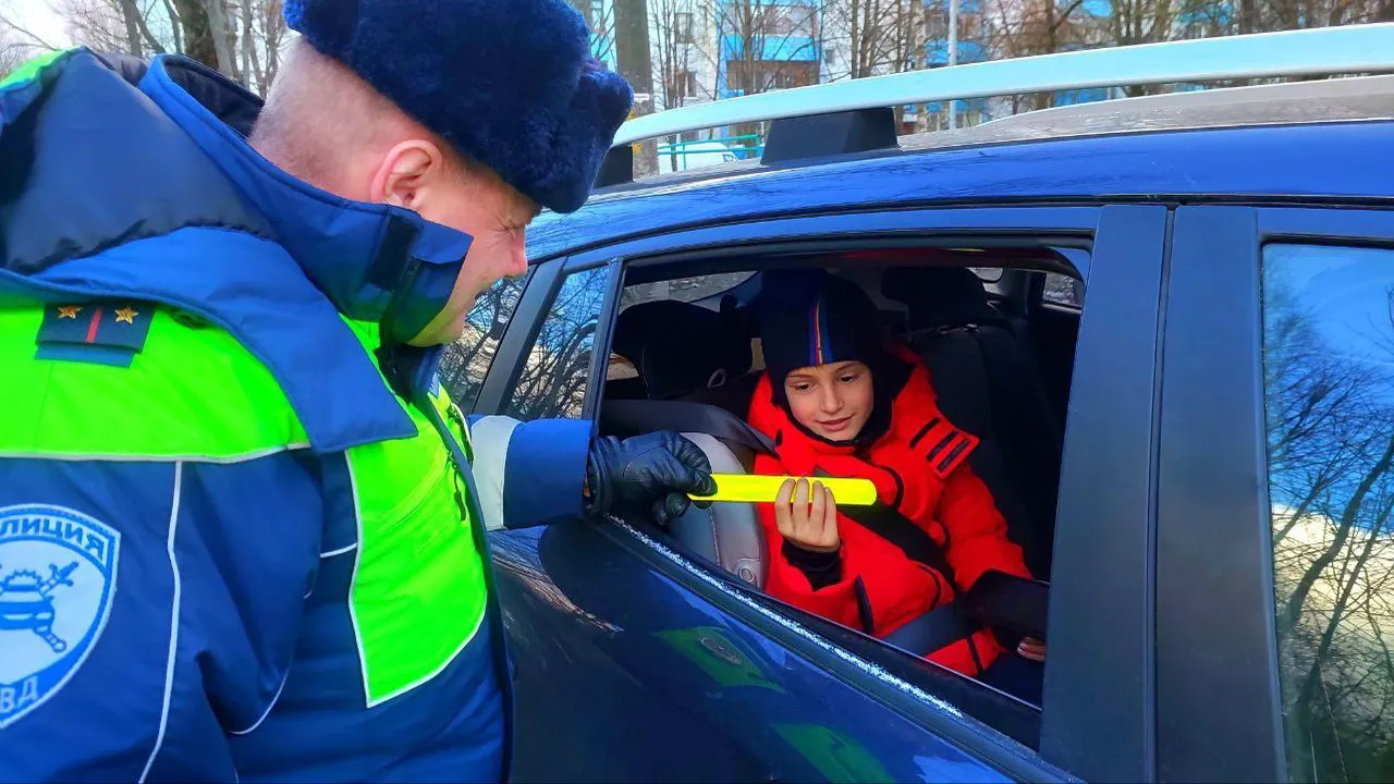 Фото: Госавтоинспекция МО