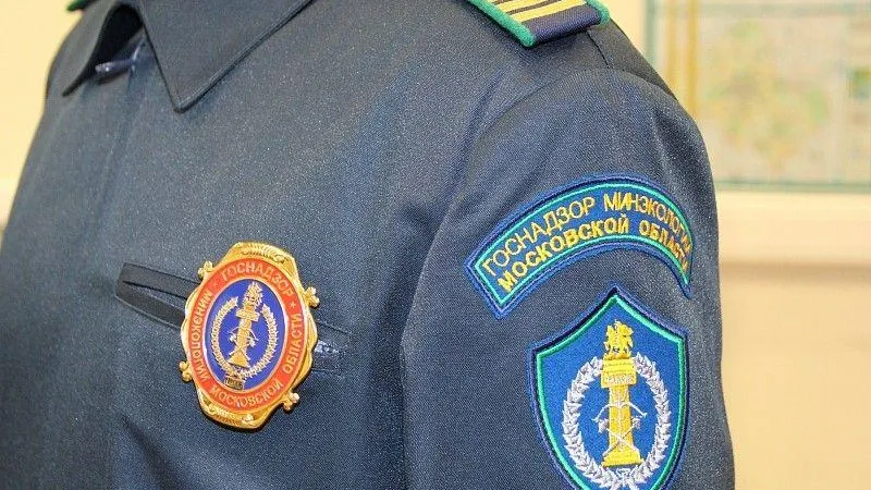 Логистическая компания поплатилась за загрязнение реки Васса в Богородском округе