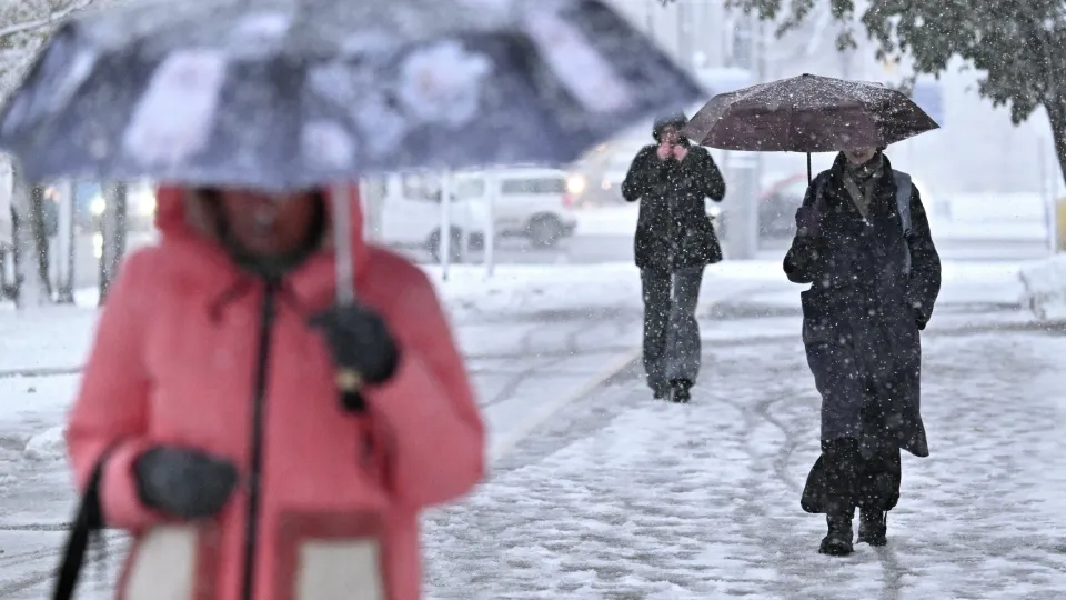 Фото: РИА Новости/Пелагия Тихонова