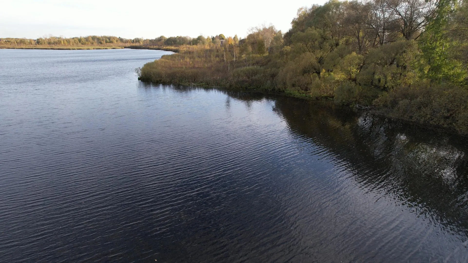 Дарья Московцева