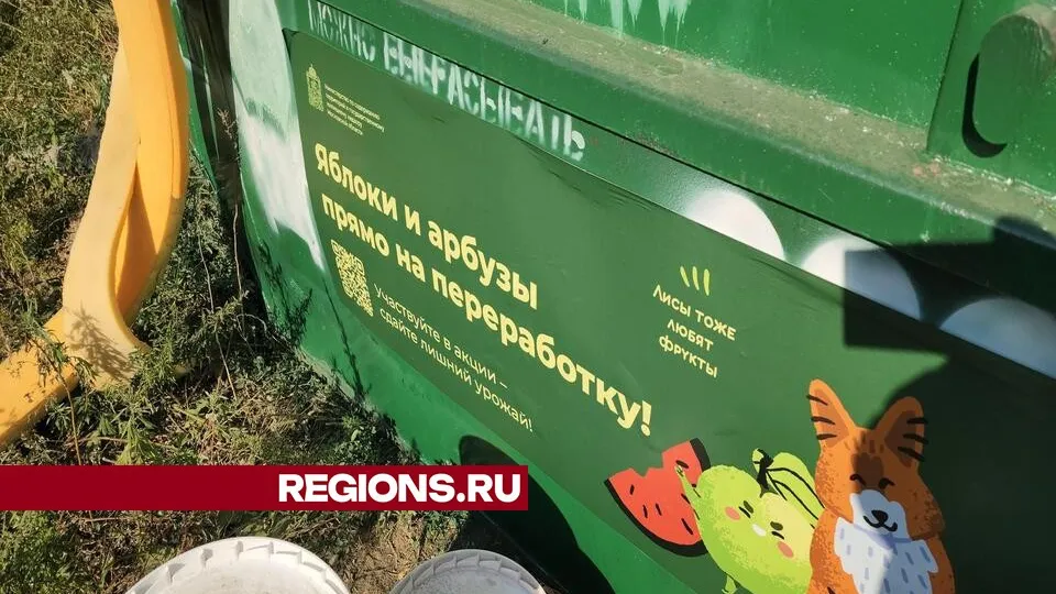 Фото: Никита Сморкалов