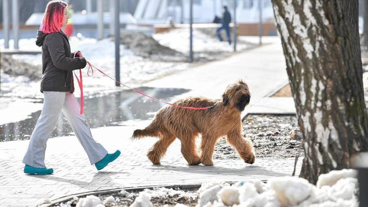 Минсельхоз МО