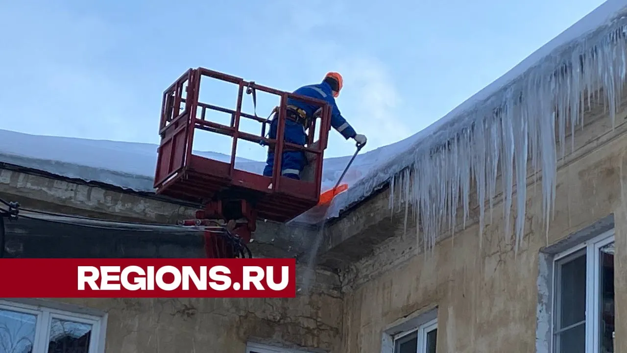 фото, видео: Елена Лабзина