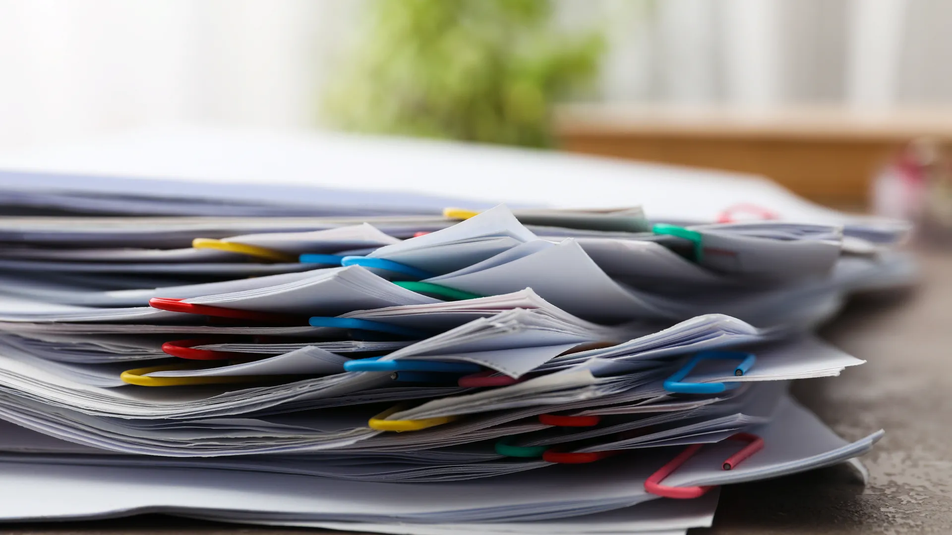 Фото: ru.freepik.com